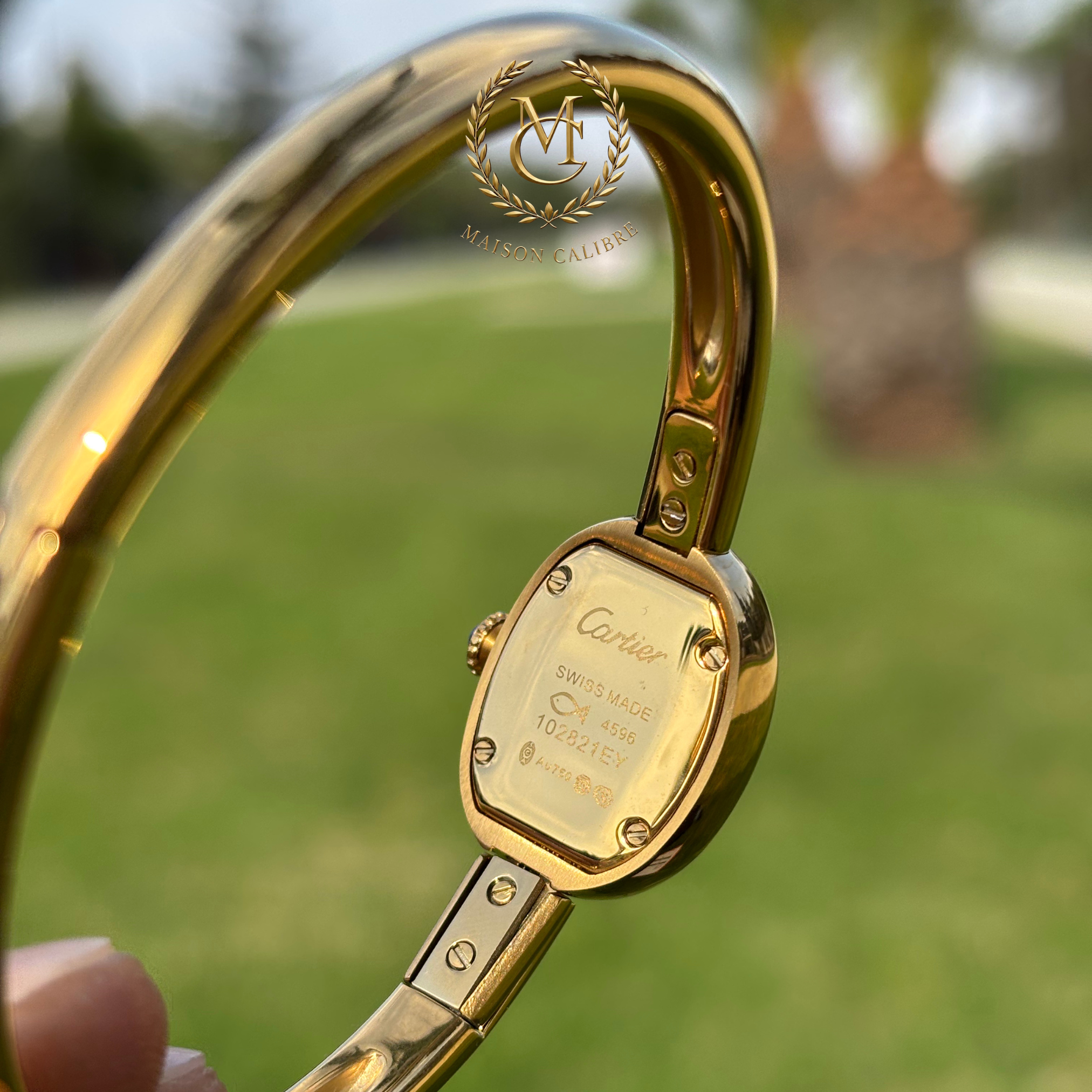 C. L’Ovale de Prestige – Baignoire Bijou (Édition Signature)